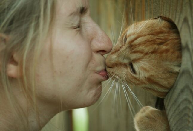 Infection par vers par contact avec les animaux
